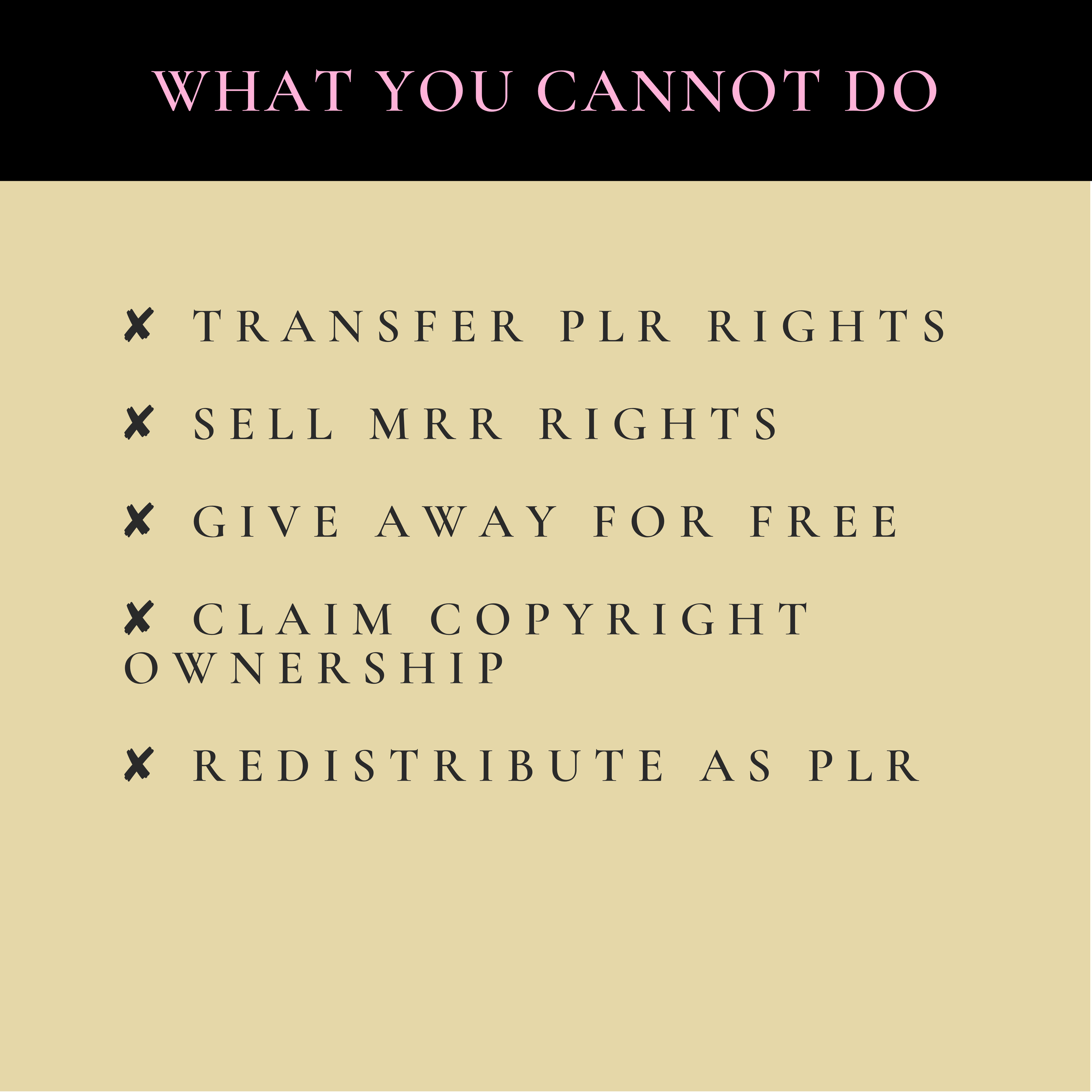 PLR Tax Preparation Training Manual | Private Label Rights Included | Editable Canva Template